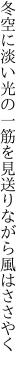 冬空に淡い光の一筋を 見送りながら風はささやく