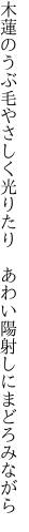 木蓮のうぶ毛やさしく光りたり  あわい陽射しにまどろみながら