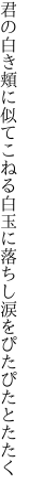 君の白き頬に似てこねる白玉に 落ちし涙をぴたぴたとたたく