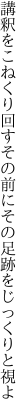 講釈をこねくり回すその前に その足跡をじっくりと視よ