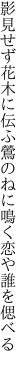 影見せず花木に伝ふ鶯の ねに鳴く恋や誰を偲べる