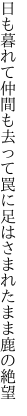 日も暮れて仲間も去って罠に足 はさまれたまま鹿の絶望