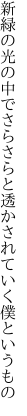 新緑の光の中でさらさらと 透かされていく僕というもの