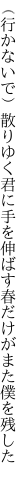 （行かないで）散りゆく君に手を伸ばす 春だけがまた僕を残した