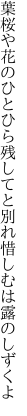 葉桜や花のひとひら残してと 別れ惜しむは露のしずくよ