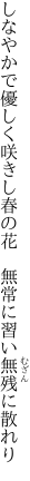 しなやかで優しく咲きし春の花　 無常に習い無残に散れり