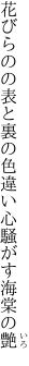 花びらのの表と裏の色違い 心騒がす海棠の艶