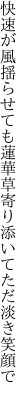 快速が風揺らせても蓮華草 寄り添いてただ淡き笑顔で