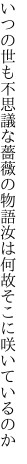 いつの世も不思議な薔薇の物語 汝は何故そこに咲いているのか