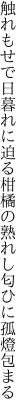 触れもせで日暮れに迫る柑橘の 熟れし匂ひに孤燈包まる