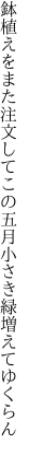 鉢植えをまた注文してこの五月 小さき緑増えてゆくらん