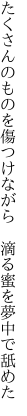 たくさんのものを傷つけながら　 滴る蜜を夢中で舐めた