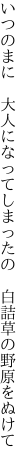 いつのまに 大人になってしまったの  白詰草の野原をぬけて