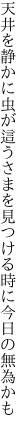 天井を静かに虫が這うさまを 見つける時に今日の無為かも