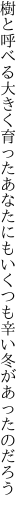 樹と呼べる大きく育ったあなたにも いくつも辛い冬があったのだろう