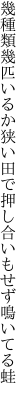 幾種類幾匹いるか狭い田で 押し合いもせず鳴いてる蛙