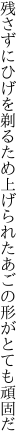 残さずにひげを剃るため上げられた あごの形がとても頑固だ