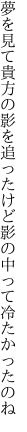 夢を見て貴方の影を追ったけど 影の中って冷たかったのね