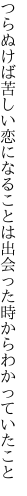 つらぬけば苦しい恋になることは 出会った時からわかっていたこと