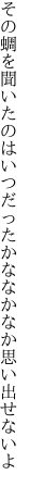 その蜩を聞いたのはいつだった かななかなか思い出せないよ