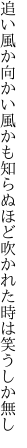 追い風か向かい風かも知らぬほど 吹かれた時は笑うしか無し