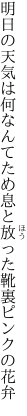 明日の天気は何なんてため息と 放った靴裏ピンクの花弁