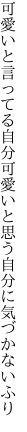 可愛いと言ってる自分可愛いと 思う自分に気づかないふり