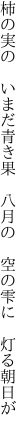 柿の実の いまだ青き果 八月の  空の雫に 灯る朝日が