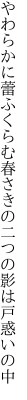 やわらかに蕾ふくらむ春さきの二つの影は戸惑いの中