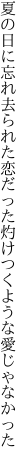 夏の日に忘れ去られた恋だった灼けつくような愛じゃなかった