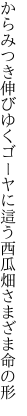 からみつき伸びゆくゴーヤに這う西瓜 畑さまざま命の形