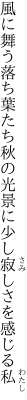 風に舞う落ち葉たち秋の光景に 少し寂しさを感じる私