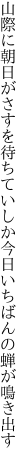 山際に朝日がさすを待ちていしか 今日いちばんの蝉が鳴き出す