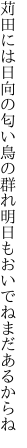 苅田には日向の匂い鳥の群れ 明日もおいでねまだあるからね
