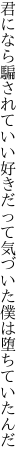 君になら騙されていい好きだって 気づいた僕は堕ちていたんだ