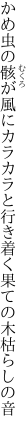 かめ虫の骸が風にカラカラと 行き着く果ての木枯らしの音