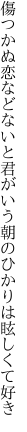 傷つかぬ恋などないと君がいう 朝のひかりは眩しくて好き