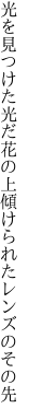 光を見つけた光だ花の上 傾けられたレンズのその先