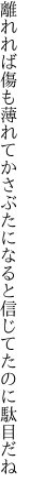 離れれば傷も薄れてかさぶたに なると信じてたのに駄目だね