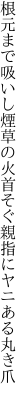 根元まで吸いし煙草の火首そぐ 親指にヤニある丸き爪