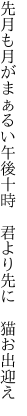 先月も月がまぁるい午後十時  君より先に 猫お出迎え