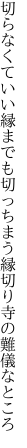 切らなくていい縁までも切っちまう 縁切り寺の難儀なところ