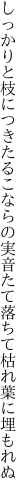 しっかりと枝につきたるこならの実 音たて落ちて枯れ葉に埋もれぬ