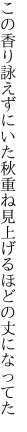 この香り詠えずにいた秋重ね 見上げるほどの丈になってた