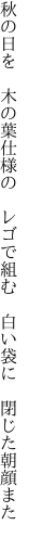 秋の日を 木の葉仕様の レゴで組む  白い袋に 閉じた朝顔また