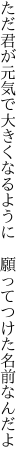 ただ君が元気で大きくなるように  願ってつけた名前なんだよ