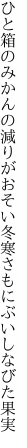 ひと箱のみかんの減りがおそい冬 寒さもにぶいしなびた果実