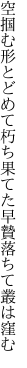 空掴む形とどめて朽ち果てた 早贄落ちて叢は窪む