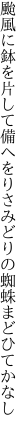 颱風に鉢を片して備へをり さみどりの蜘蛛まどひてかなし