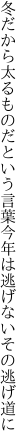 冬だから太るものだという言葉 今年は逃げないその逃げ道に